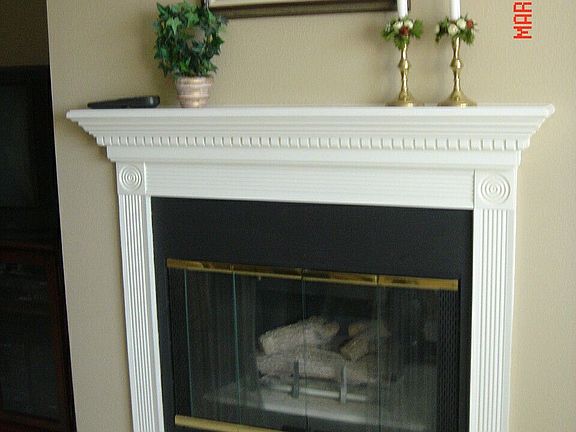 Natural gas fireplace.