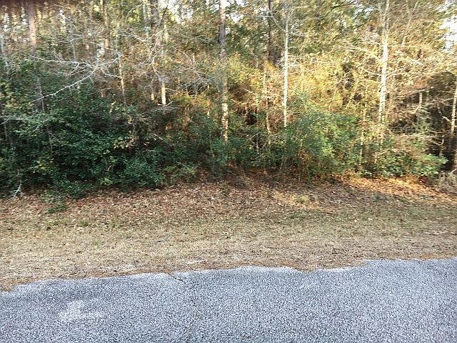 2nd image of 2716 Burlwood Dr