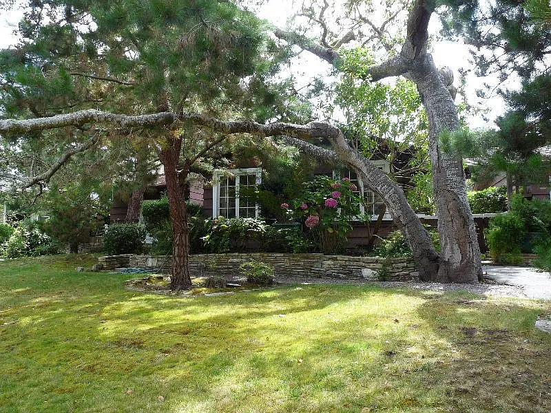 24683 Dolores St photo 1