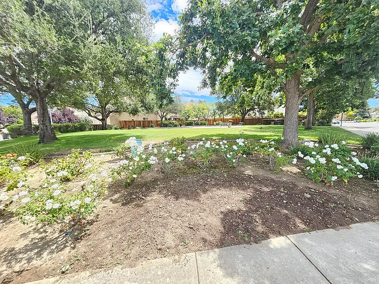 795 Avante Pl — Photo 29