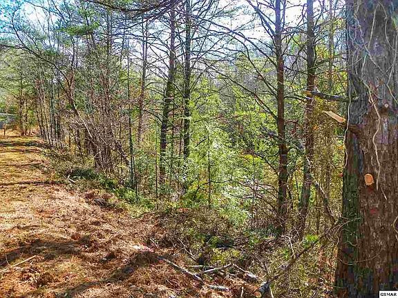 2nd image of 2 Oldham Springs Way Lot 2