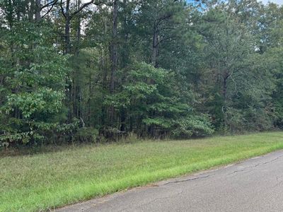E Moore Tower Rd, Forest, MS, 39074