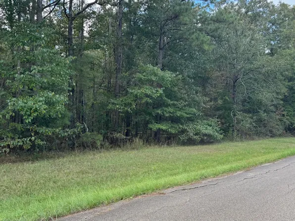 E Moore Tower Rd, Forest, MS 39074