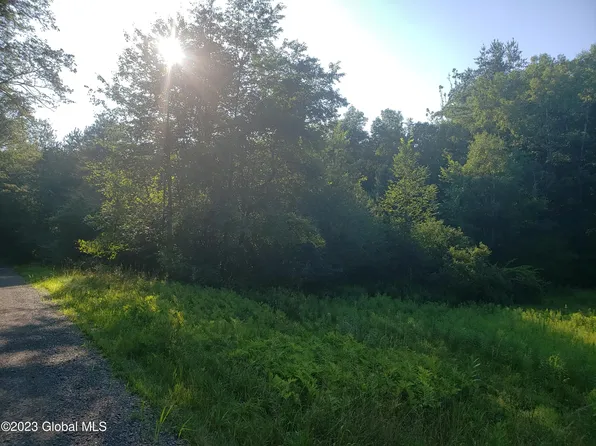 L44 Kinderhook Ln, Brainard, NY 12062