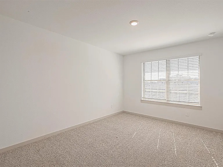29234 Grand Gorge Dr — Photo 19