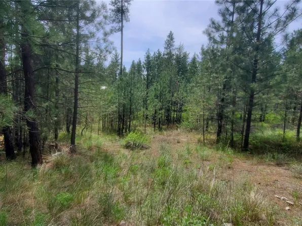 6 Lot Okanogan River Ranches Div 1, Tonasket, WA 98855