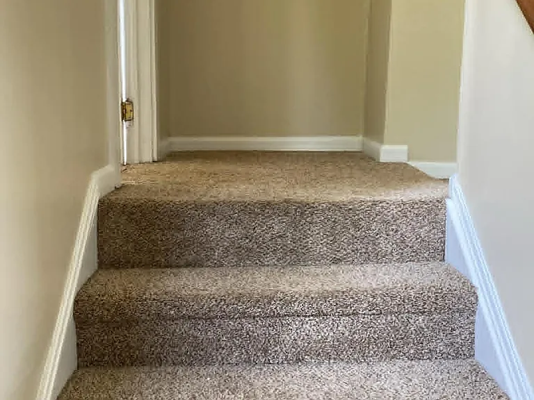 2315 Cooley Rd — Photo 5