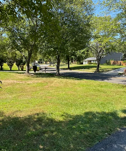 10807 Woodlawn Blvd — Photo 14