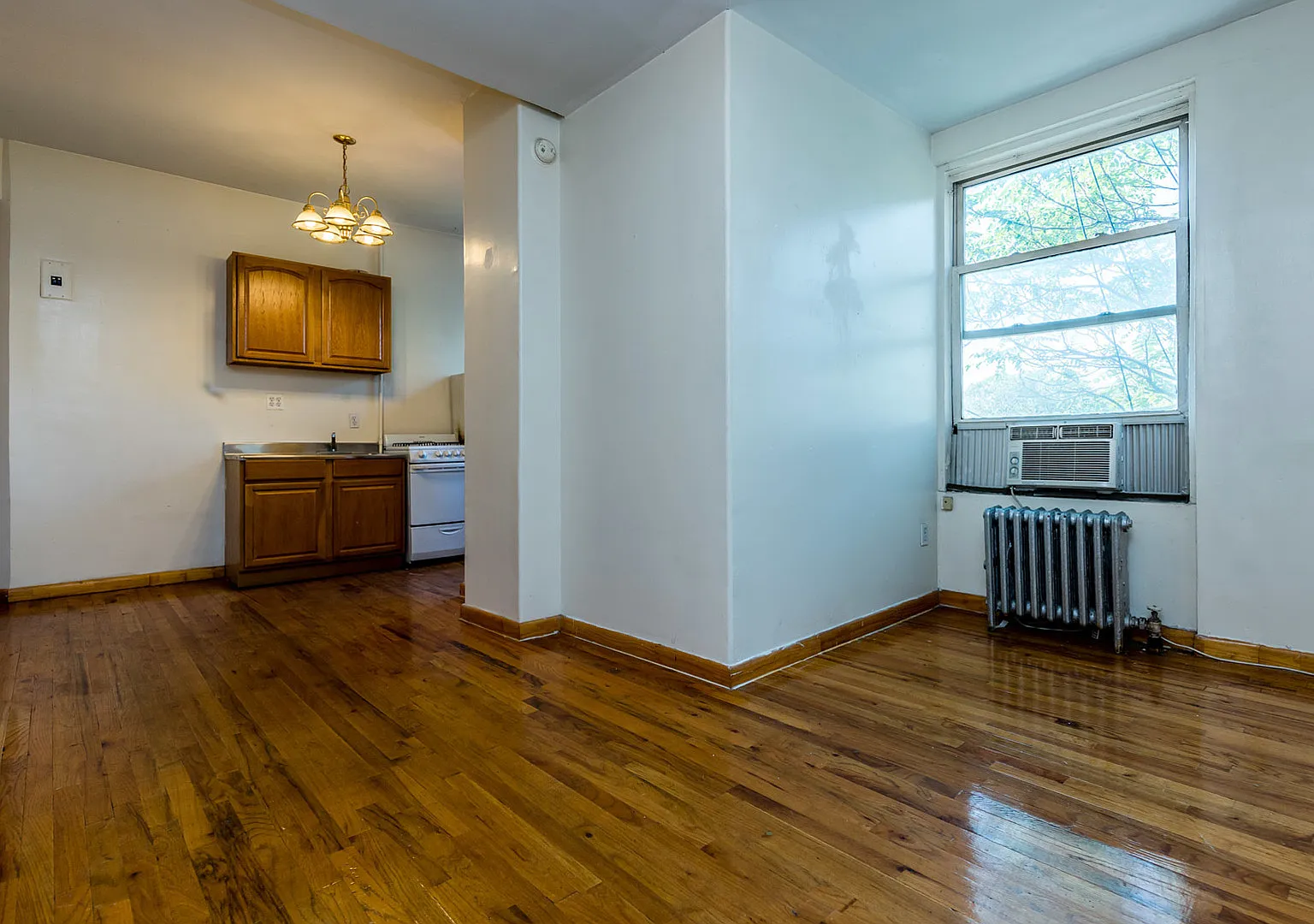 206 Scholes Street — Photo 3