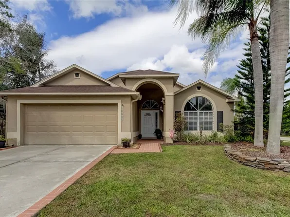 10231 Charleston Corner Rd, Tampa, FL 33635