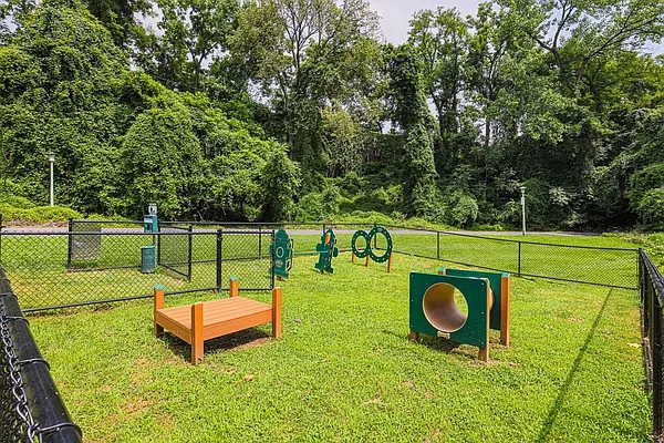 Dog Park