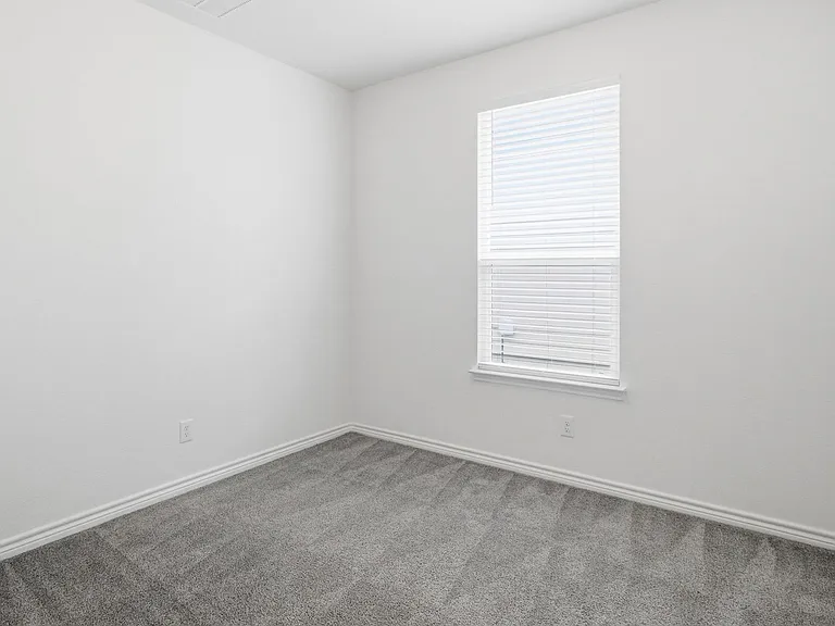 11634 Black Rose — Photo 18
