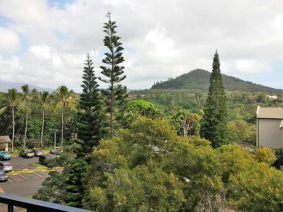 Mtn View from BR