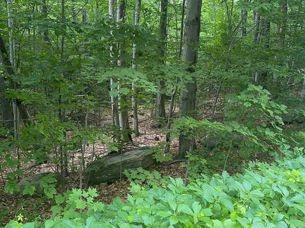 8 Fred Johnson Circle #16, Middlebury, VT 05753