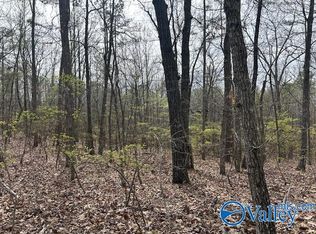 12 Peck Mountain Rd, Eva, AL 35621