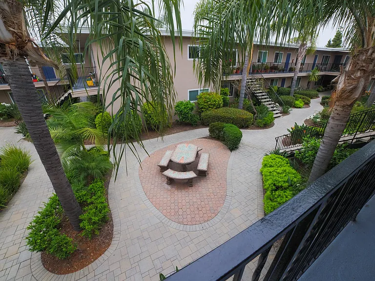 Palm Court — Photo 6