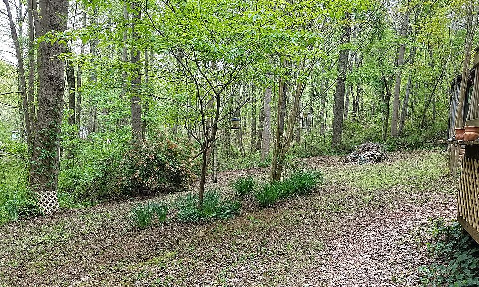 2nd image of 107 Upland Trl