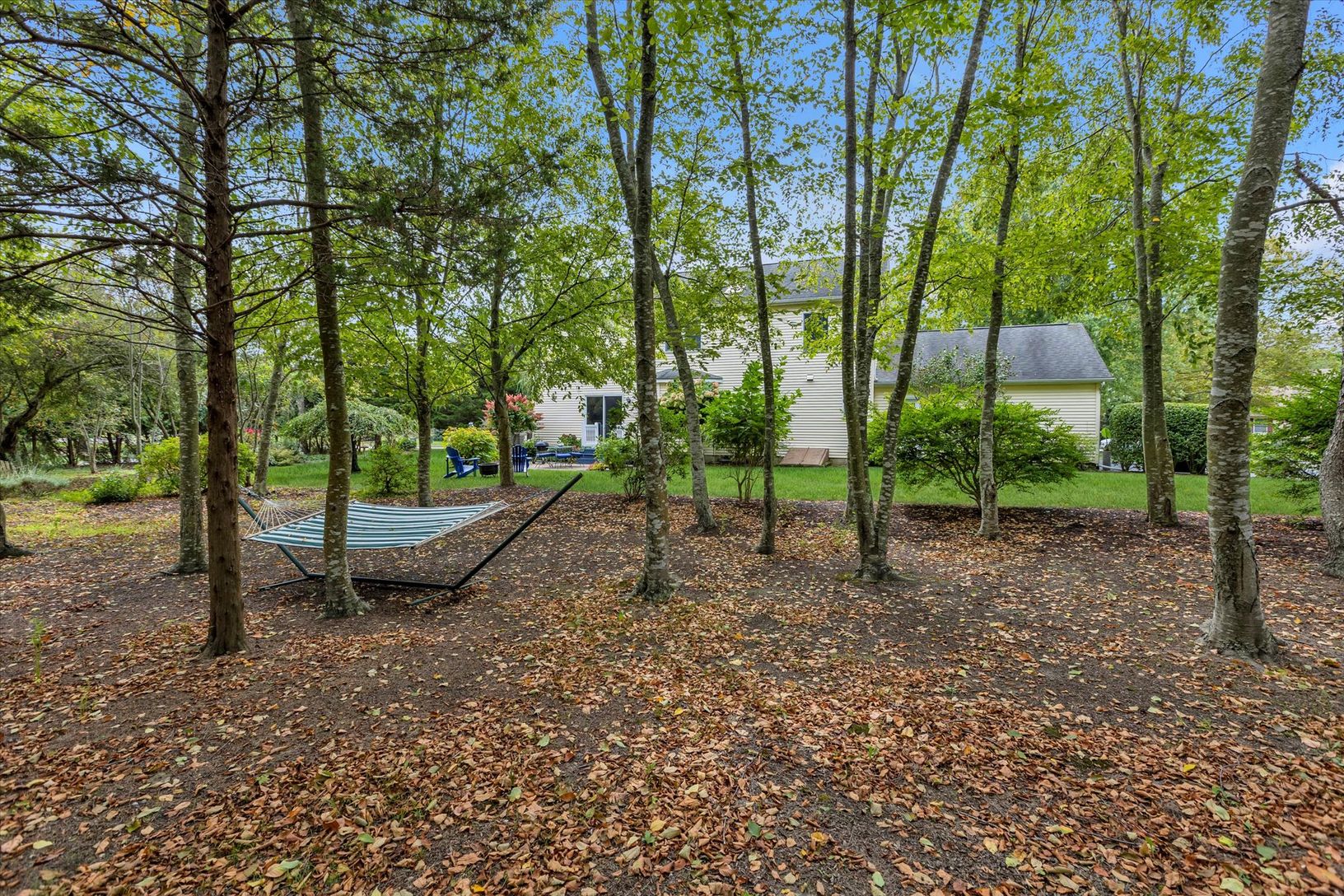 Woods behind Yard - Nature Lovers' Dream