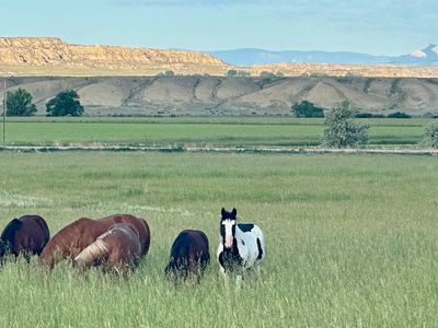 TBD Lane 6 1/2 Unit A, Deaver, WY, 82421