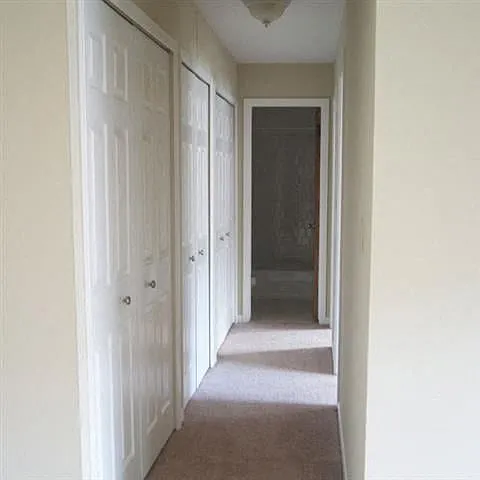 Emerald Village Apartments — Photo 19
