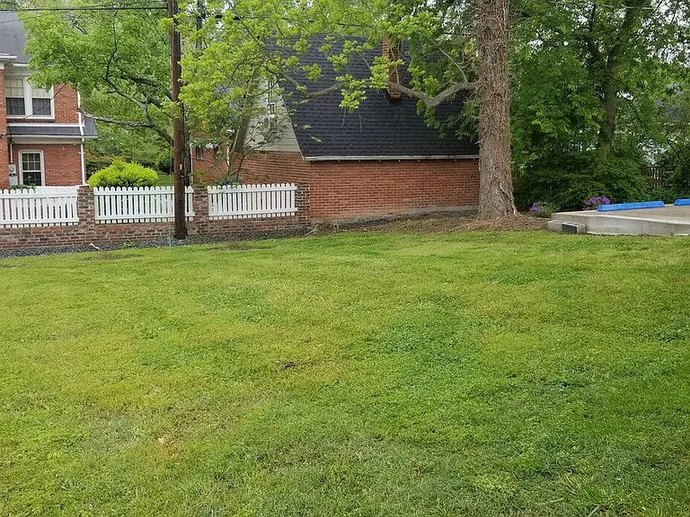 back yard