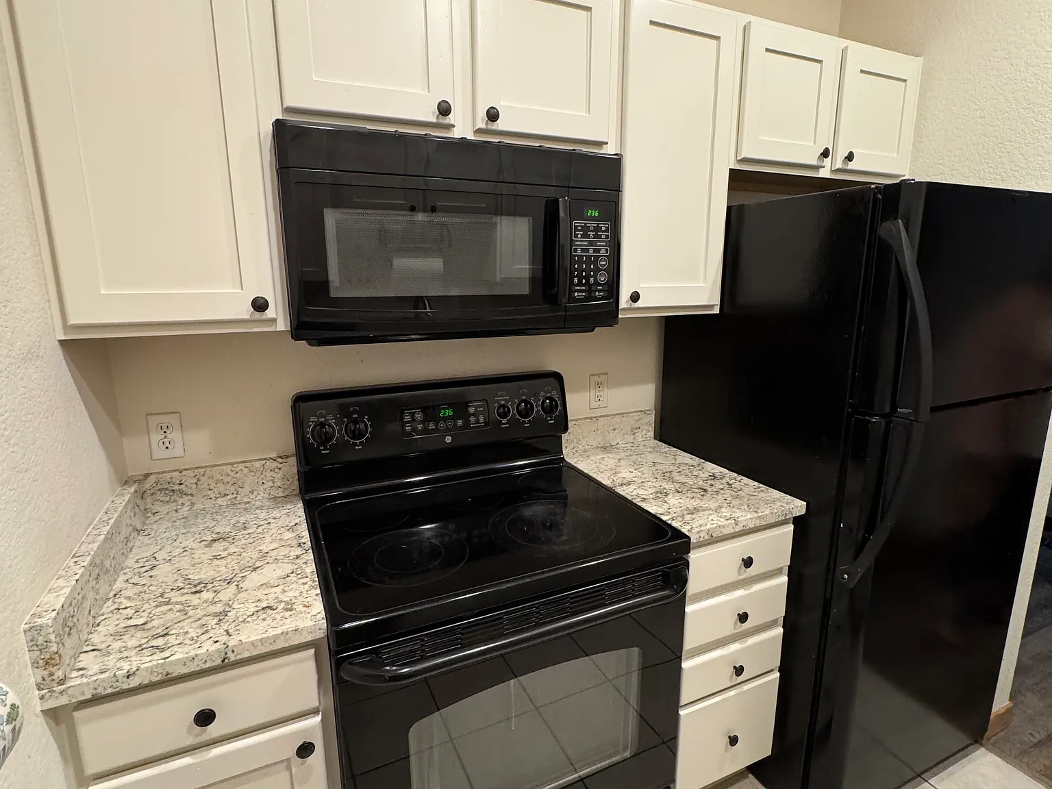 2 bed, 975 sqft, $2,000 — Photo 2