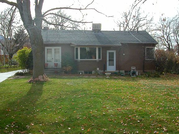 back yard
