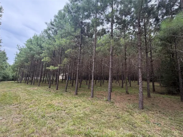 0 Codys Way, Livingston, TX 77351