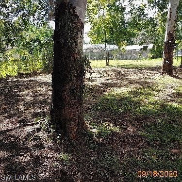 5th image of 589 Lynneda Ave