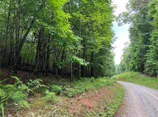 0 Dun Mill Creek Rd, Blue Ridge, GA 30513