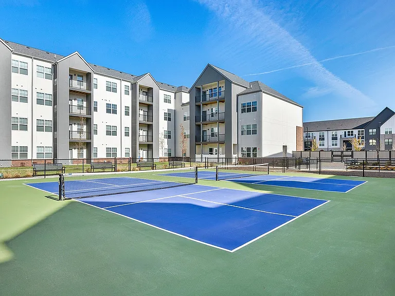 Pickleball Court