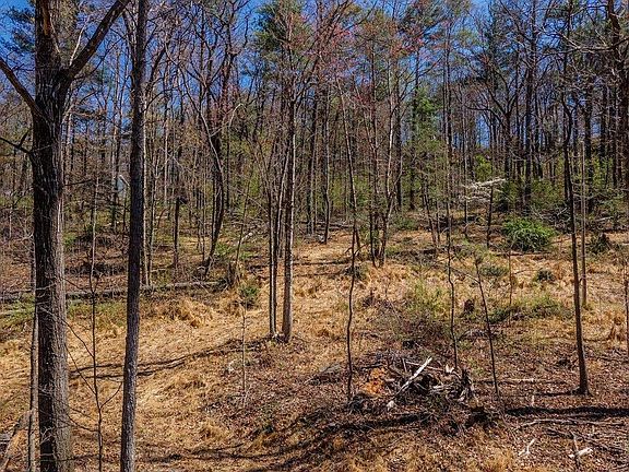 3rd image of Shell Hollow Ln