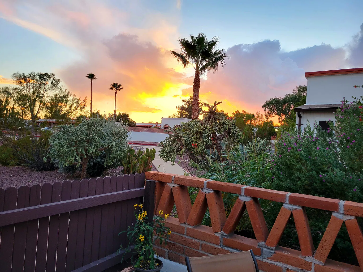 1 bed, 620 sqft, $1,250 — Photo 3