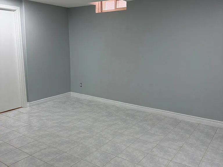 259 Tall Grass Trl #BASEMENT — Photo 5