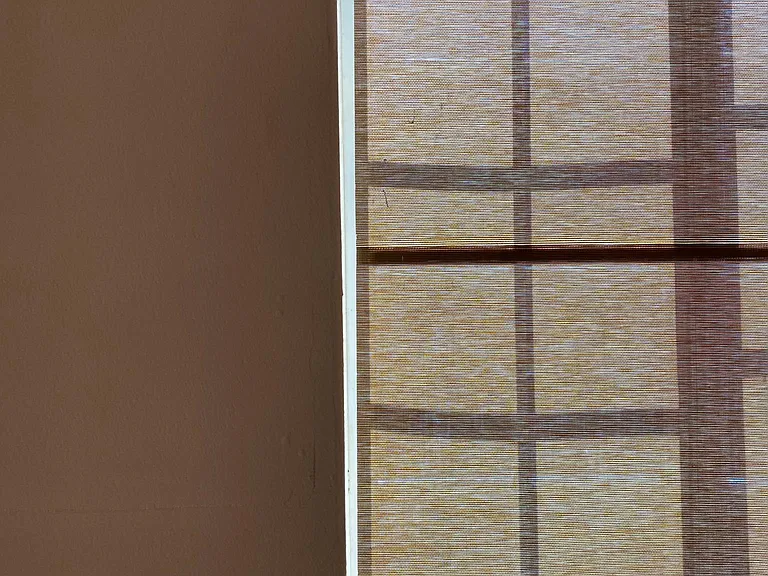 Living Room Window