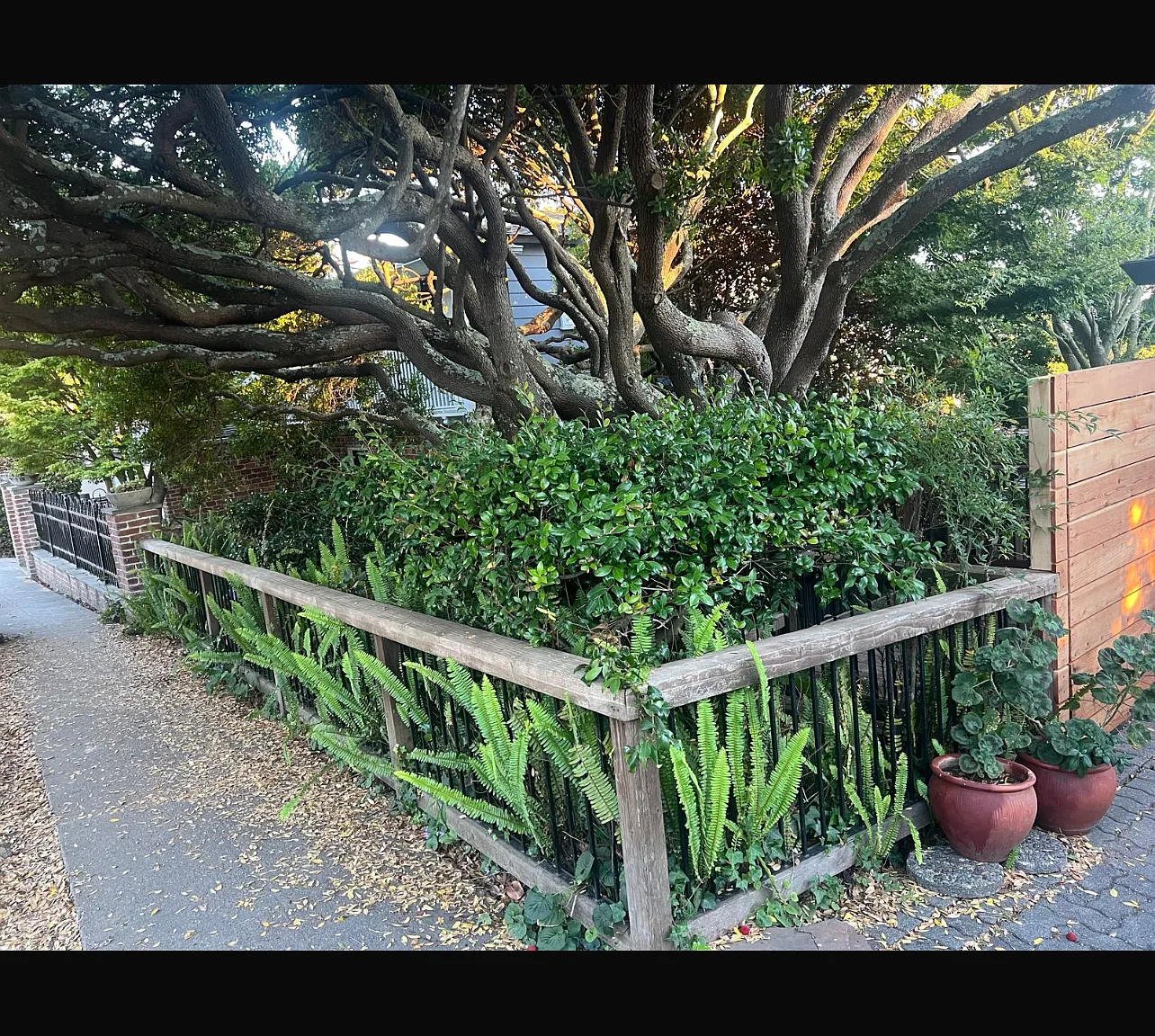 4 bed, 2501 sqft, $9,350 — Photo 4