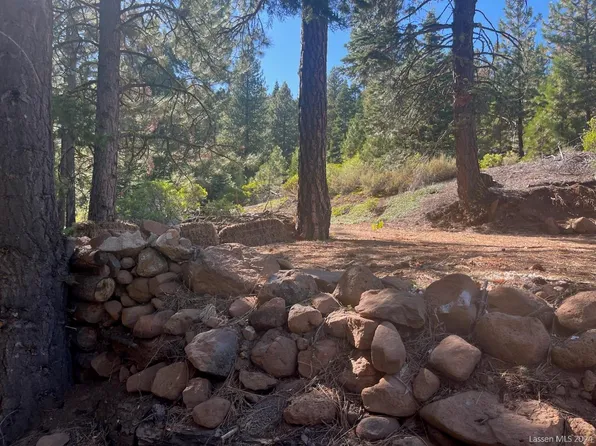 44410 Hornitos Trl, Alturas, CA 96101
