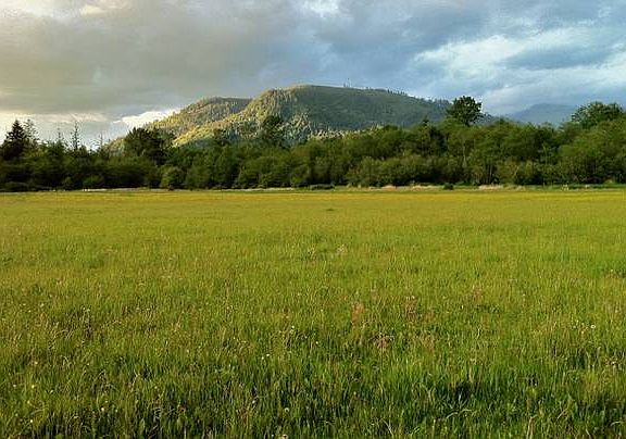 Wide-open cropland