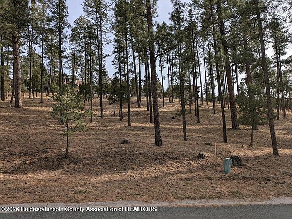 3rd image of 322 White Mountain Meadows Dr