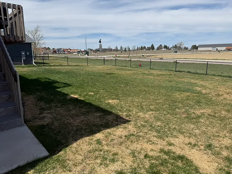 View out the back