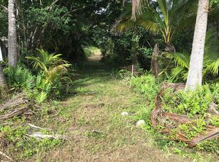 Beach Rd LOT 2984, Keaau, HI 96749