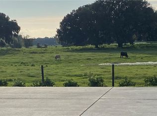 4691 SE 94th Ave, Webster, FL 33597