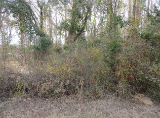 Wood County Rd #2958, Alba, TX 75410