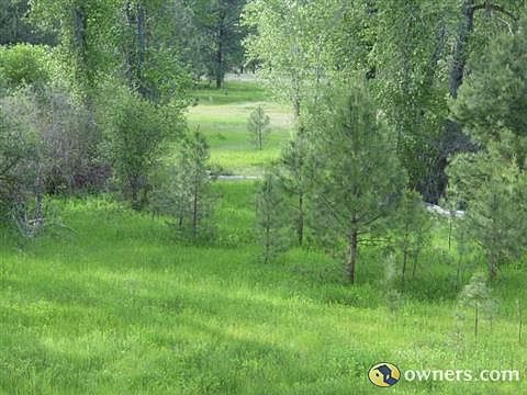View from 3.6 acre lot