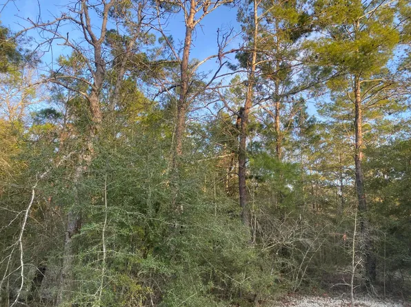 Stebbins Ct, Defuniak Springs, FL 32433