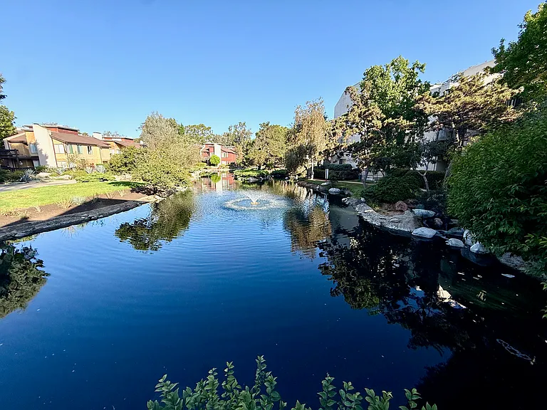 14302 Summertime Ln — Photo 54