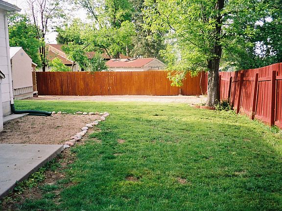 Back yard