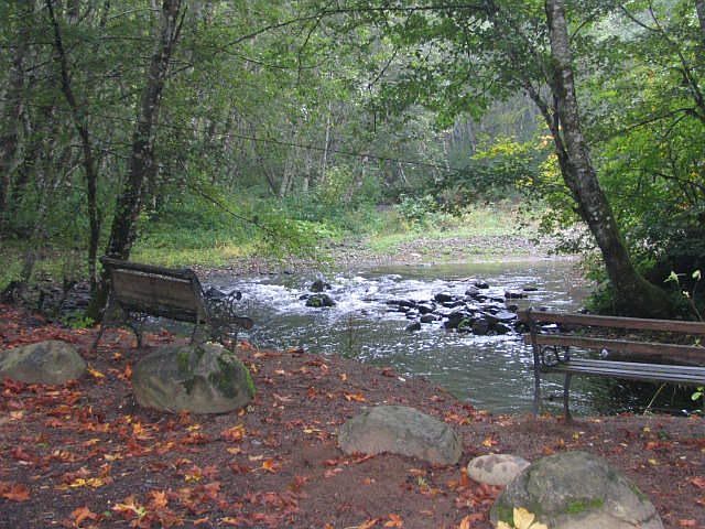 Parklike Setting