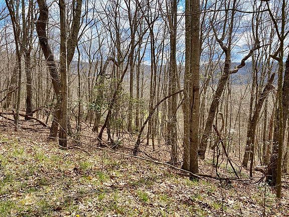 5th image of LOT-39B Wildflower Dr