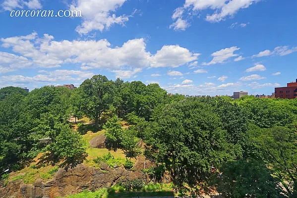 Rented by Corcoran | media 20